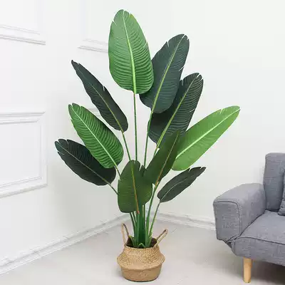 Simulation plant green plant clothing store decoration props ornaments landing bonsai interior decoration potted fake tree props