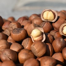 Northeast Hazelnut Changbai Mountain Nuts Farm Roasted Seeds Northeast Specialty Casual Original Snacks Large Opening Wild Hazelnut