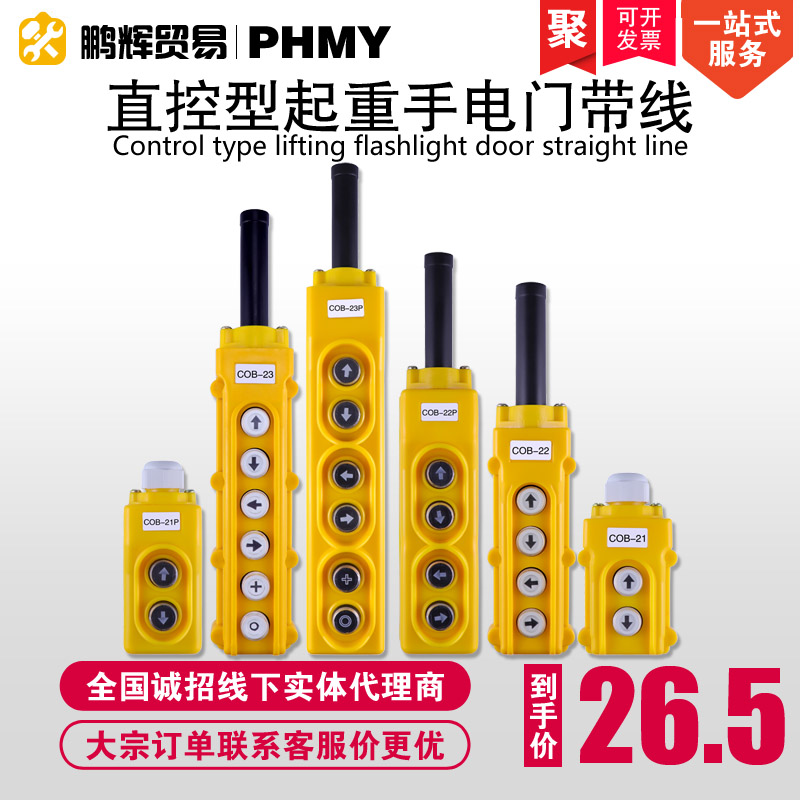 Belt Wire Micro Electric Crane With Wire Switch Straight Control 220V Hoist Lift Windlass Three-phase Motor Handle