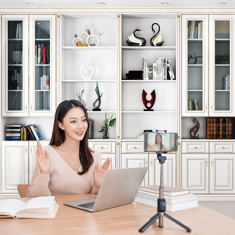 Net Red Direct Sowing Room Background Wall Advanced Male Anchor Background Cloth 3d High Definition Book Room Bookcase Arrangement Solid Decoration