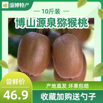 Green Elbe Zibos Bot Mountain source Beyyu kiwi Goosebumps Green Heart 10 catty and sweet spot off