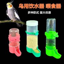 Bird drinking fountain automatic feeder feeding water drinker tiger skin parrot Starling box feeding bird food jar bird supplies
