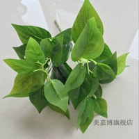 5 ветвей зеленого укропа