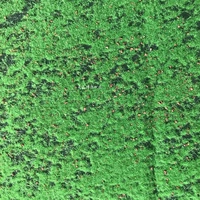 Покрывало с имитацией газона 1 метр*1 метр кусок