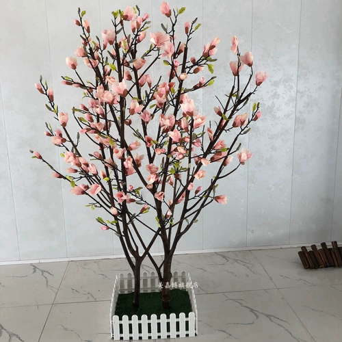 Моделирование магнолия дерево земля земля цветочные окна