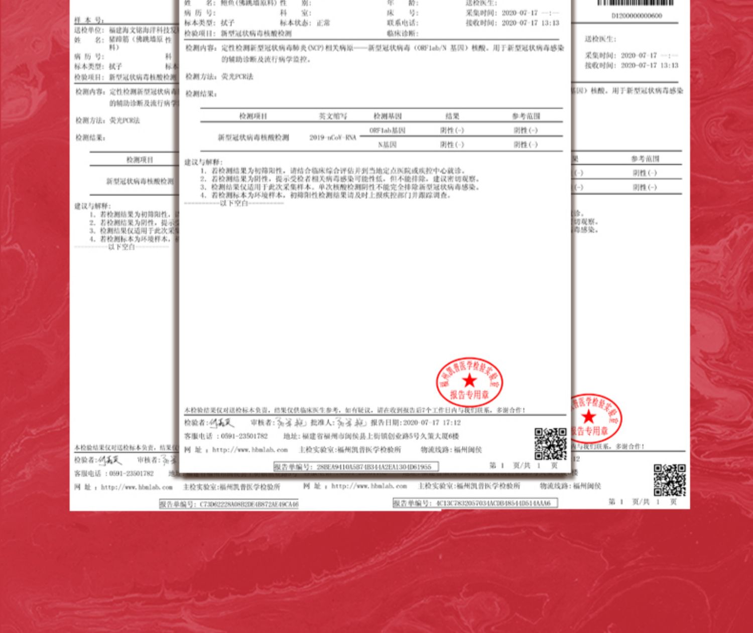 海文铭鲍鱼金汤花胶鸡1500g