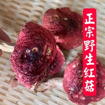 New type of edible agricultural products Organic red mushrooms in Sanming City Fujian Province Mainland China 250g