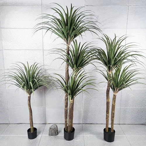 Зеленая кровя дракона крови скандинавское моделирование зеленое растение шелковое дерево горшечное растение