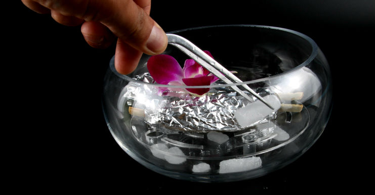 Net đỏ nhà hàng bong bóng cừu bộ đồ ăn phân tử thực phẩm hạt nhân vụ nổ khô băng khói khói sáng tạo cá tính tấm tâm trạng dĩa nhỏ
