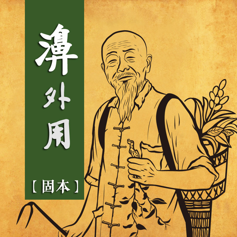 Through-and-long herb allergic chronic sinus butterfly maxillary sieve frontal sinus turbinate gland hypertrophy nasal congestion runny nose