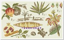 French imports DMC cross embroidered self-matching piece drawings Print DFEA shaded flowers --- pomegranate