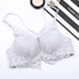 Set (không vòng thép phía trước khóa đồ lót) sexy thu thập vẻ đẹp trở lại ren áo ngực đồ lót womens mảnh duy nhất. 