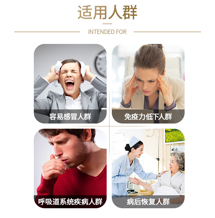 Purple Chrysanthemum details_10.jpg