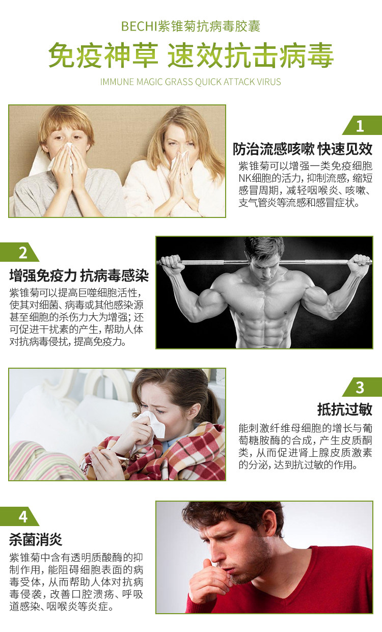 Purple Chrysanthemum details_06.jpg