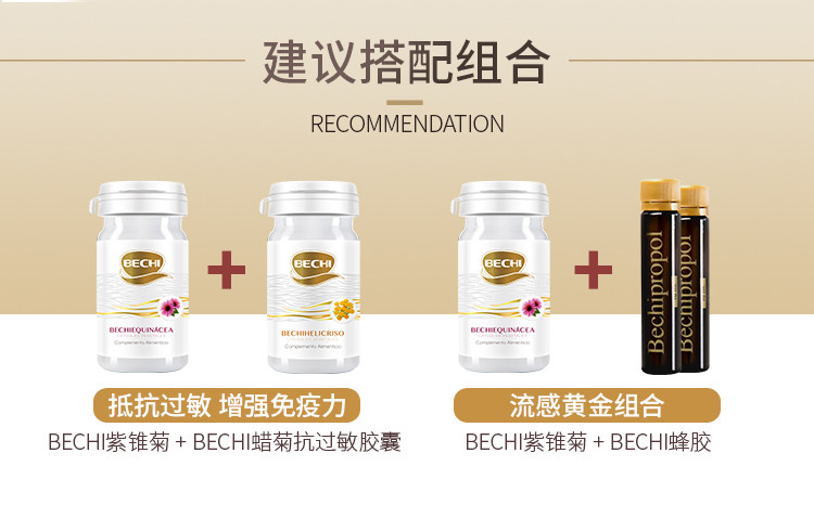 Purple Chrysanthemum details_13.jpg