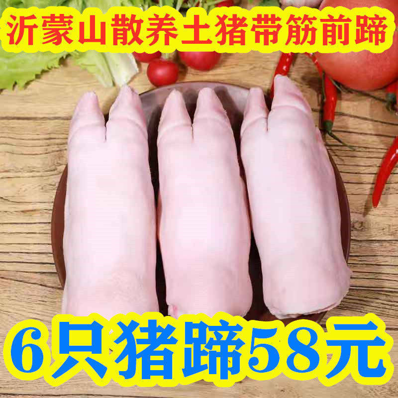 Fresh Pig Hooves Hogs Hooded Pork Front Legs Frozen Pig Claws Short Pig Feet Small Aroma Pig Hooch Pig Hands Fresh Pig Hooch