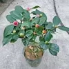 Товары от 苏馨花之语中趣专卖店