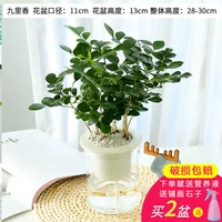 Jiulixiang [северно-погруженный бассейн] 1 раствор питательных веществ