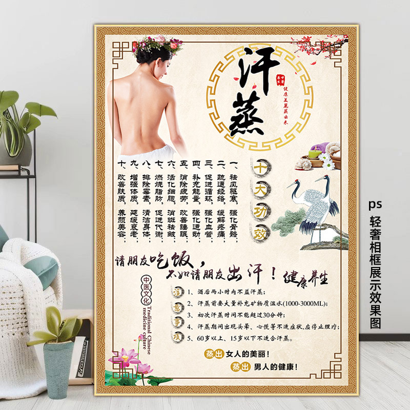 Sauna Advertisement Posters, Salt Therapy Images, Sauna Room Wall Art, Steam Room Hanging Paintings, Sauna Center Promotional Posters, Space Capsule Posters