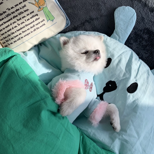 Dudu Pet Оригинальная дизайн одежда для животных плюс бархатные зимние собаки и кошки одежда упругая и теплые маленькие и средние собаки