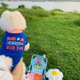 Double 11 Снижение повышения (без отступления или изменений) Корейская домашняя одежда собаки и кошки и кошки осень и зимние эластичные T -рубашки