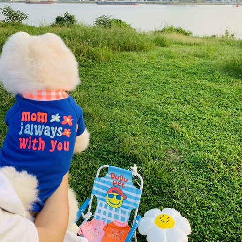 Double 11 Снижение повышения (без отступления или изменений) Корейская домашняя одежда собаки и кошки и кошки осень и зимние эластичные T -рубашки