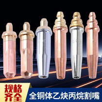 Split pure copper stainless steel plum propane cutting nozzle GB G07-30 100 plum full copper separate cutting nozzle