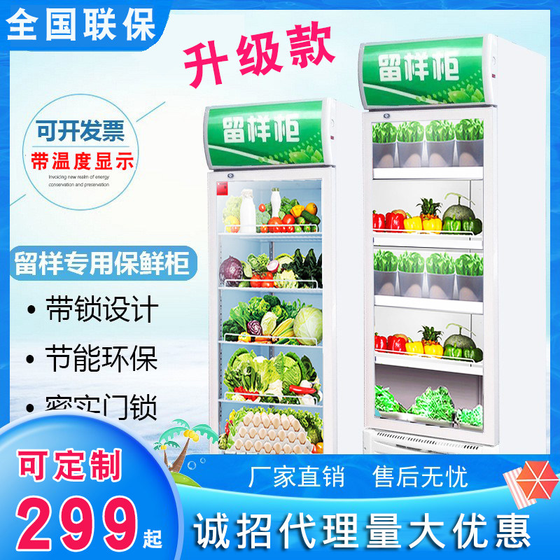 Food sample cabinet commercial fruit freezer kindergarten canteen restaurant small refrigerator household vegetable fresh-keeping cabinet