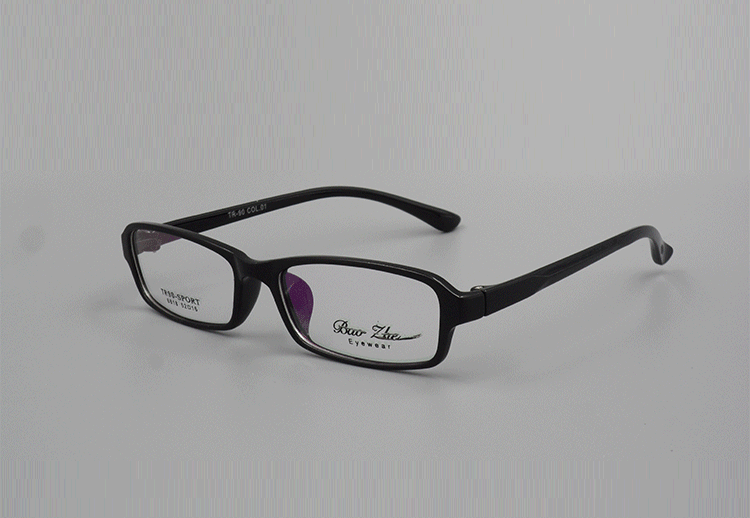 Montures de lunettes en Plaque - Ref 3140494 Image 15