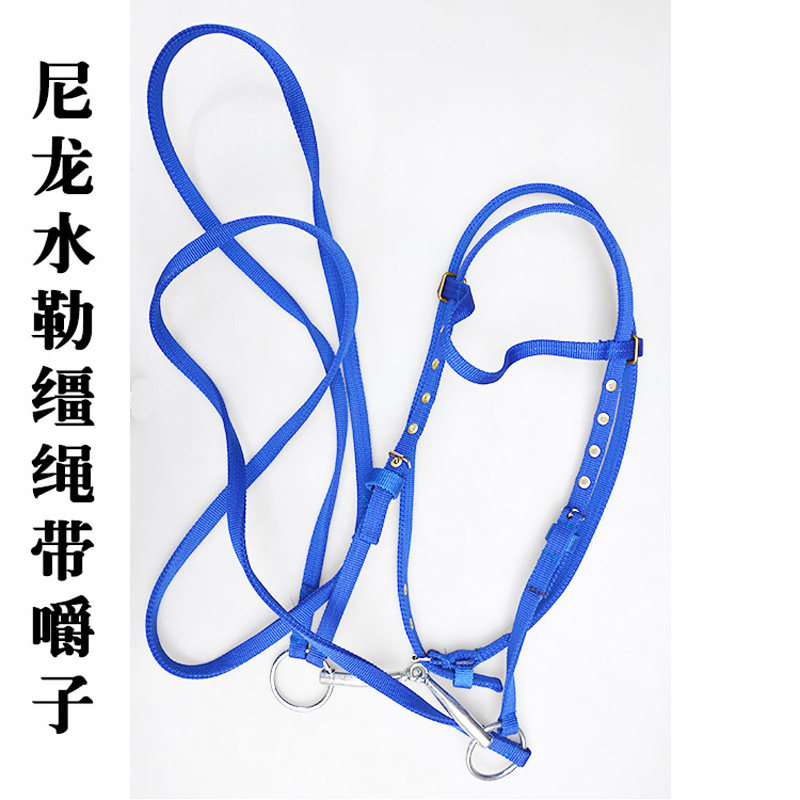Harness supplies Water Le chew straw rope Malone halter dragon sleeve mouth title Equestrian horse riding suitable for domestic adult horses