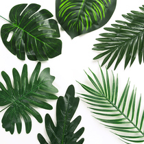 Ins turtle back leaves fake leaves decorated with single piece of green plants photo props posing net red leaves background matching