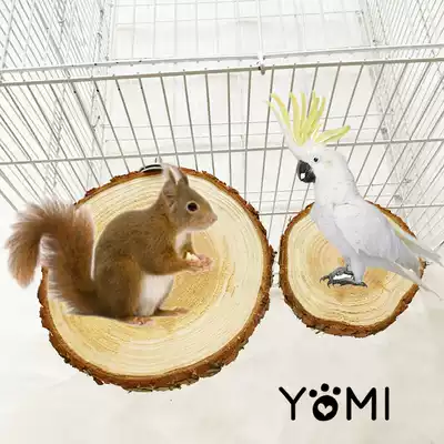 Squirrel chinchat log pier platform springboard platform platform parrot toys supplies