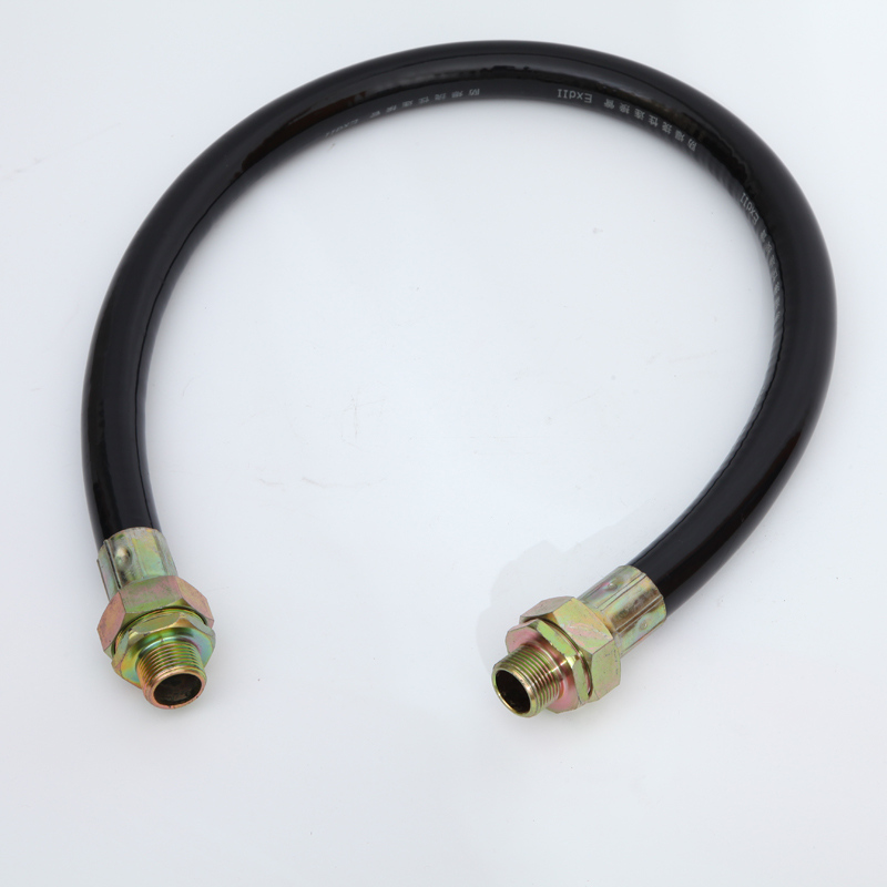 BNG explosion-proof flexible connection pipe explosion-proof threading hose dn explosion proof metal hose threading with joint