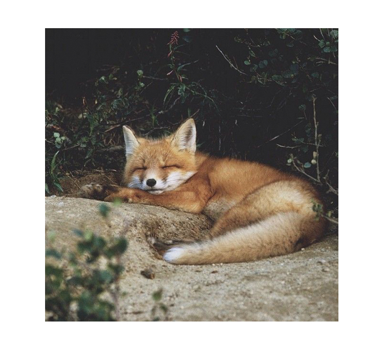 Bague mixte en Argenterie - Ref 3089104 Image 23