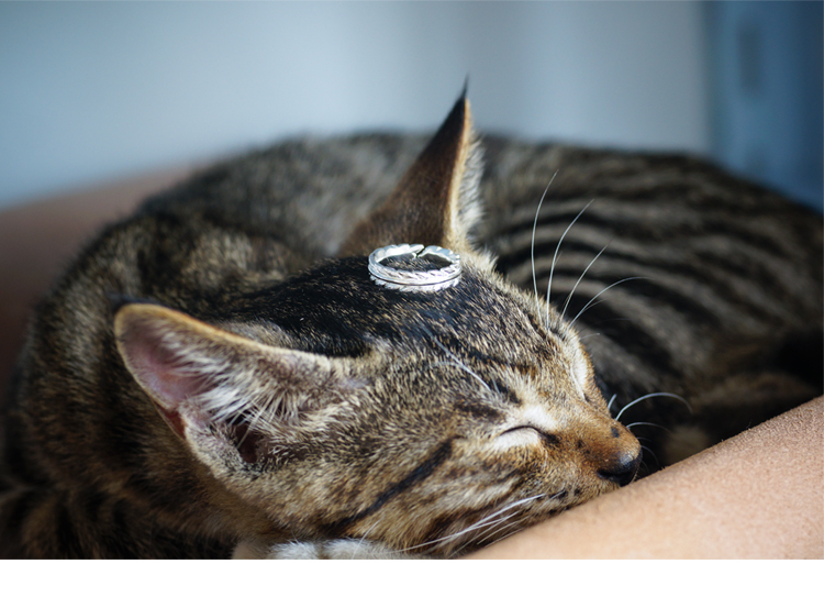 Bague mixte en Argenterie - Ref 3089104 Image 10