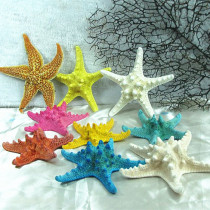 8-15cm natural starfish ornaments Shell conch suit Home decoration wall wedding shooting props