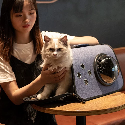 Портативная сумка через плечо для выхода на улицу, космический ранец, рюкзак