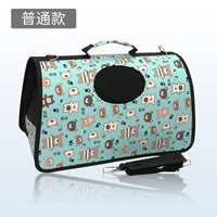 Ежедневный занавесный голубой медведь (фавориты и купить суда)