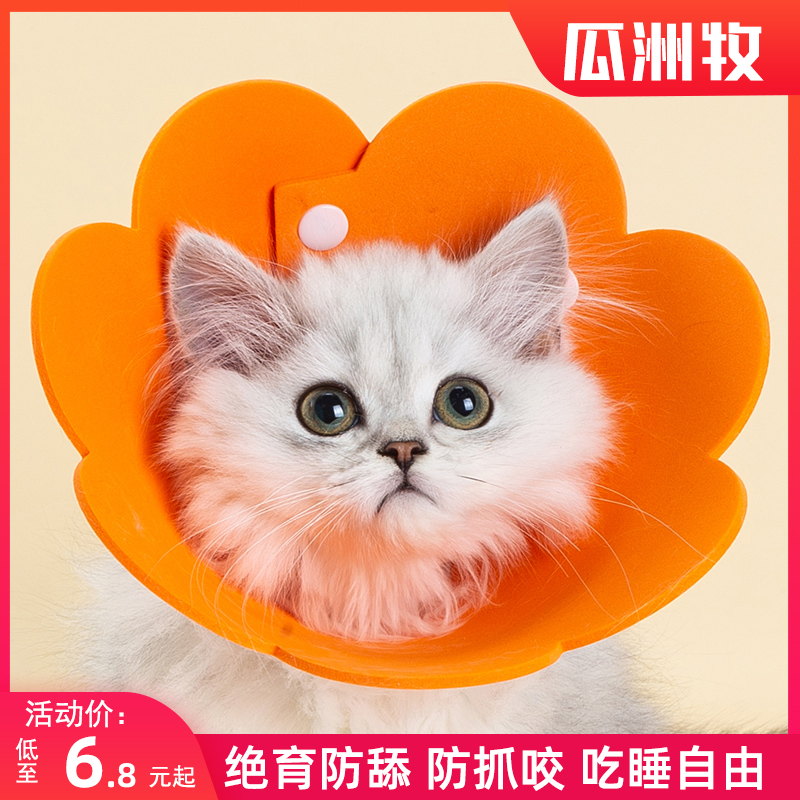 Cat Item Circle Elisabeth ring young cat anti-licking headgear Soft Puppy Ilie Elise Shame Neck Neuter Neuter