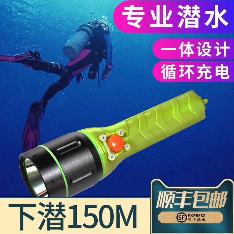 Professional diving flashlight strong light underwater ultra bright night diving waterproof flashlight outdoor charging to catch the sea flashlight handlight