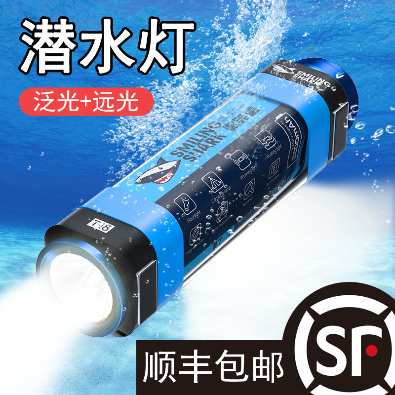 Diving flashlight outdoor rechargeable long endurance multi-function emergency super bright professional mosquito repellent lighting camping lights