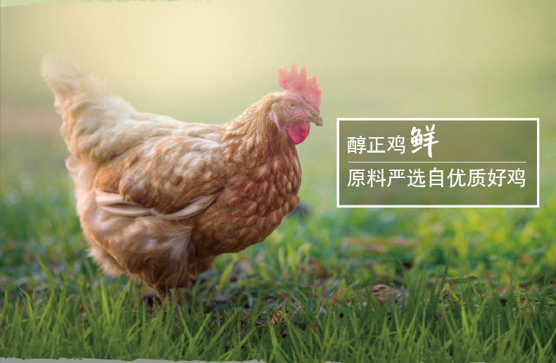 世界500强旗下 家乐 鸡精调味料 450g*5袋 图2