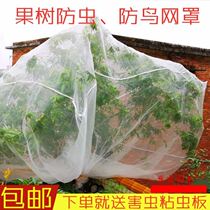 Carabao Fruit Tree Mesh Hood Anti-Ugnet Large Shed Nylon Wire Mesh Orchard Nets Orchard Nets for silkscreen Divine Tools for Bird Use