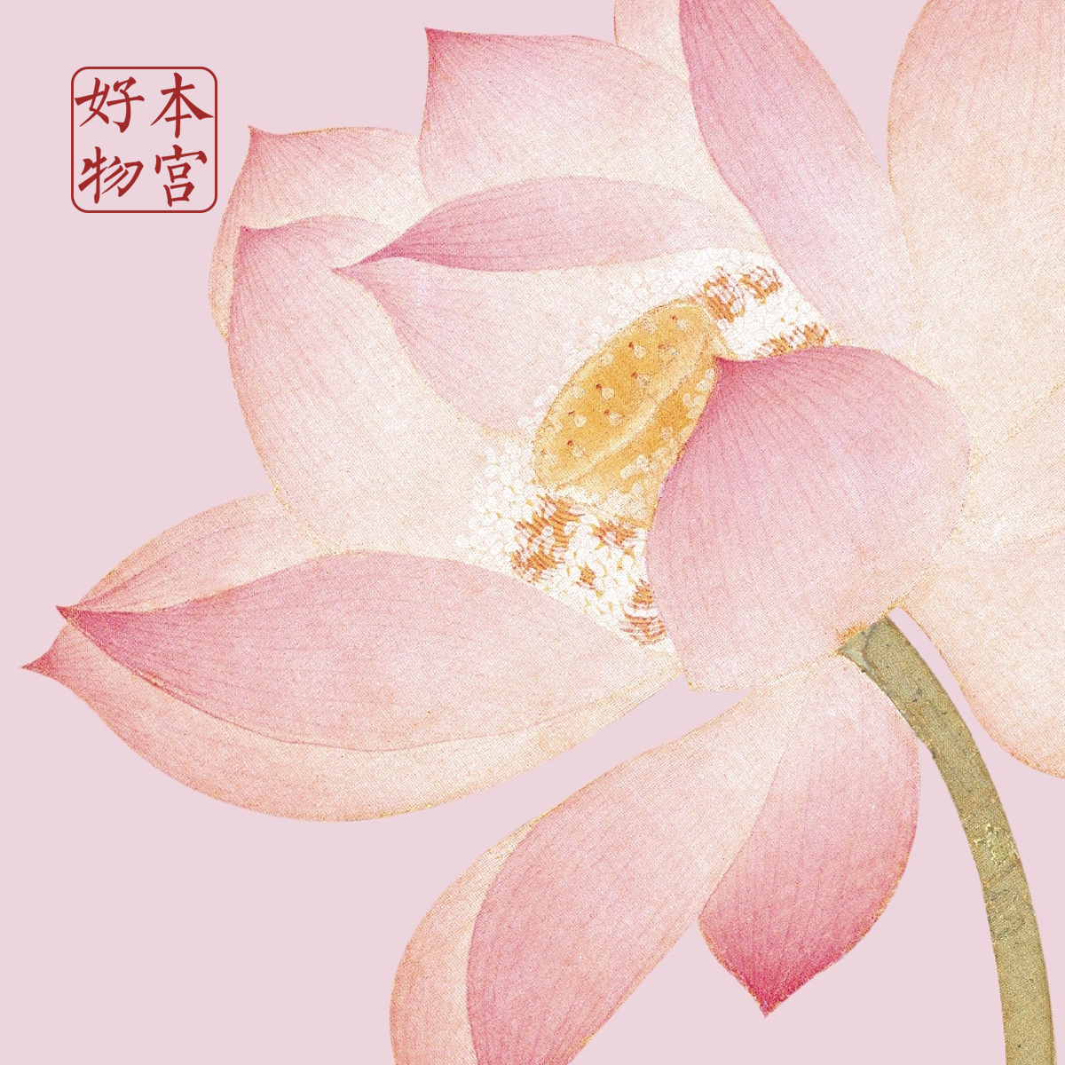 (This Palace good thing) difference special link specific consultation customer service