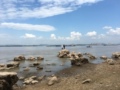 鱼老鲑路亚