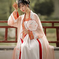 Song-made Han clothes 4 pieces (lacquered) female Chinese wind double-layered long mountings Qiwaist Embroidery Spring Affordable complete set