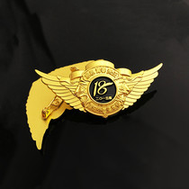 Wings Pentagram Air Force Wings Badge Discharge Commemorative Chest Badge Veterans Gathering Brooch Special for Chest Surgery