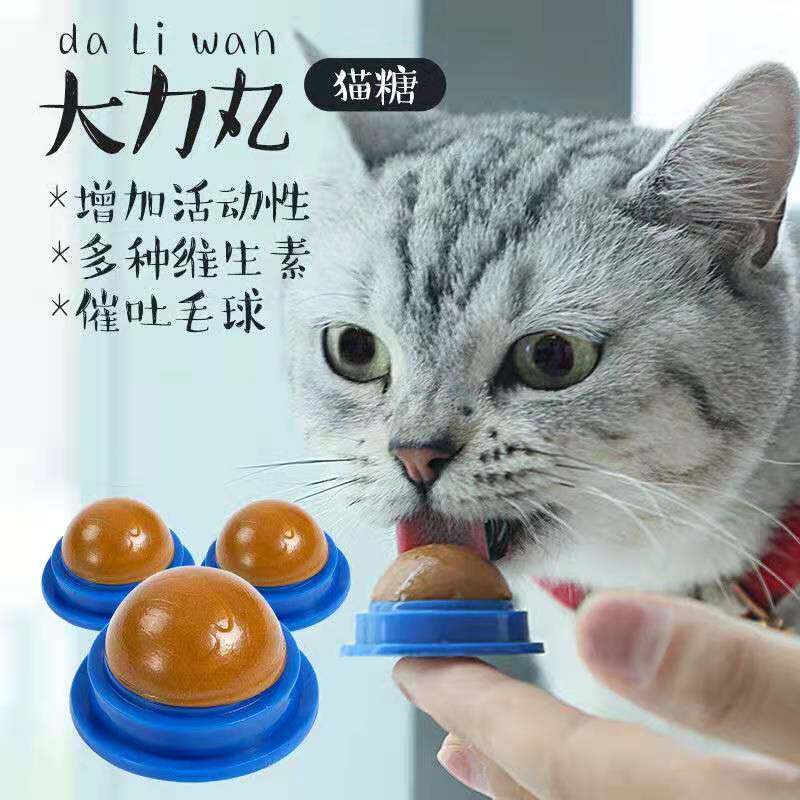 Kitty Snacks Cat Candy Young Cat Eats Candy Licks Licks Great Vigorous Pill Cat Cannery Hair Nutty Cream Cat Licks Candy