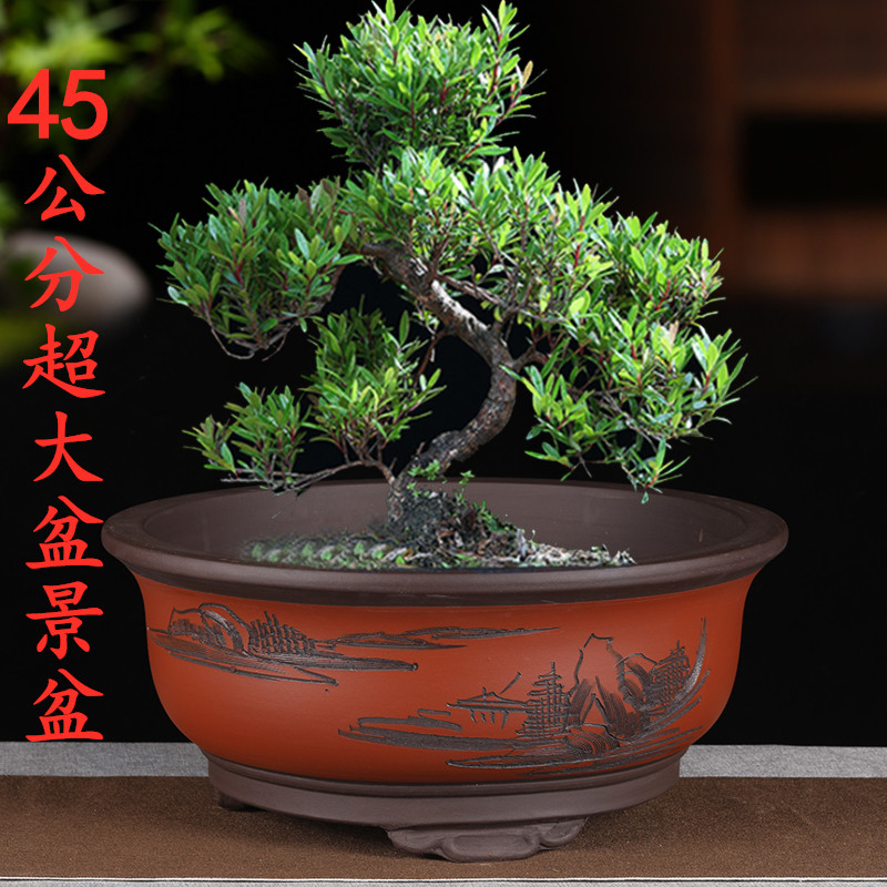 Flower pot ceramic large large size extra large purple sand bonsai flower pot planting tree large diameter flower pot extra large clearance spike