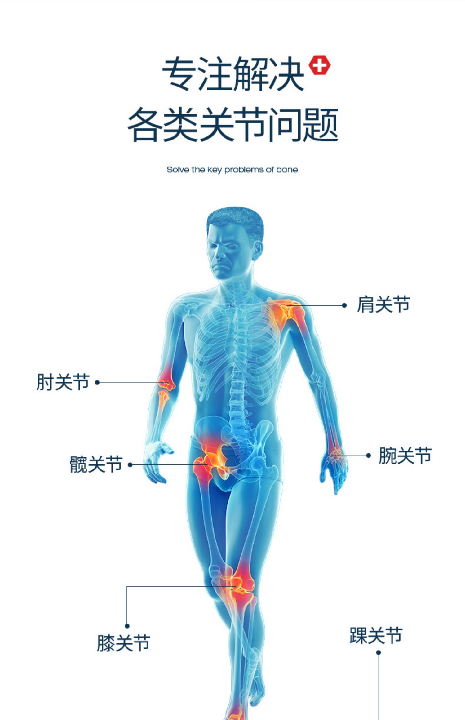 三橡树关节修复维骨力运动氨糖